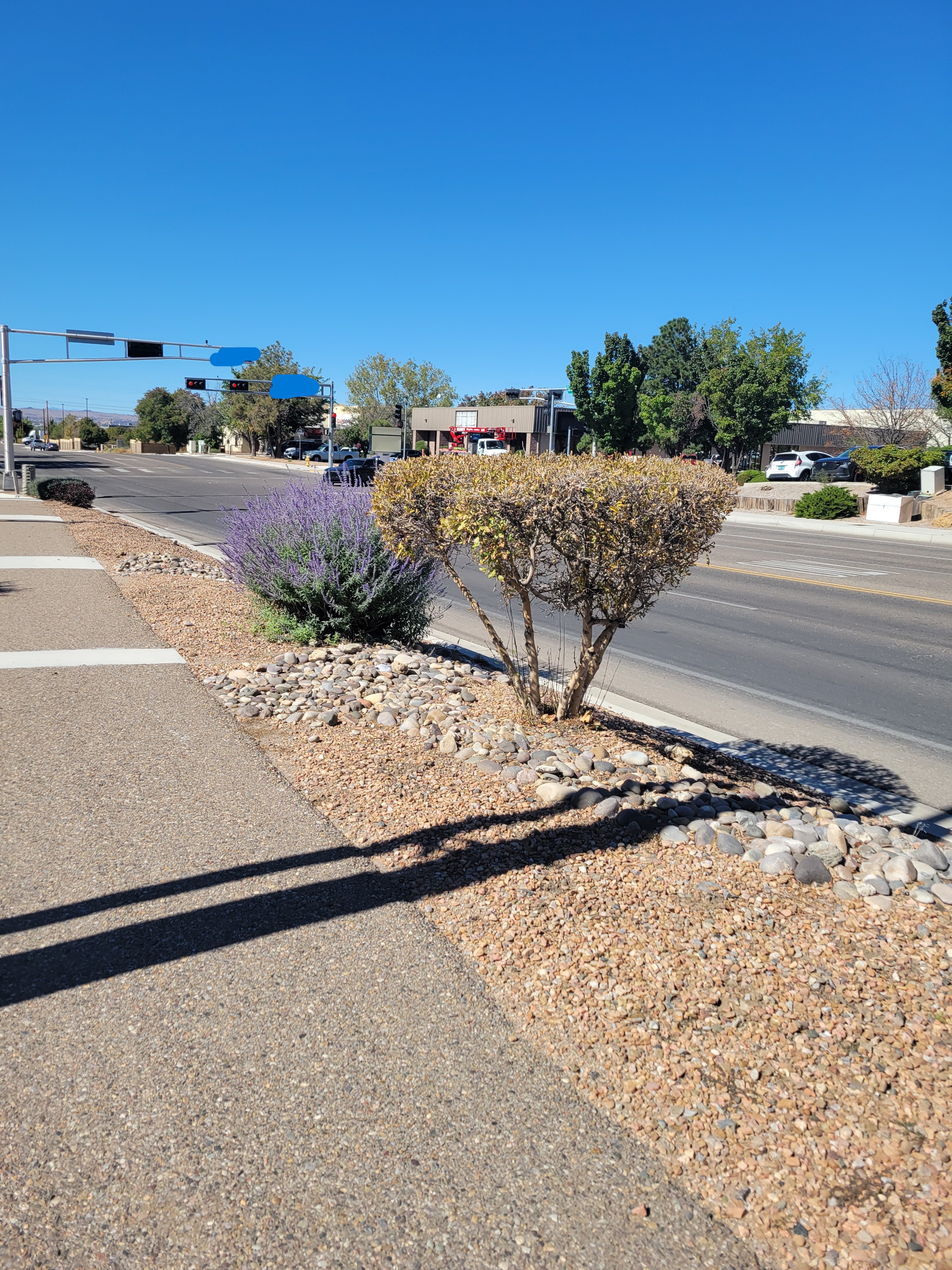 Sidewalk path with cross lights and a building with no sign in the distance.